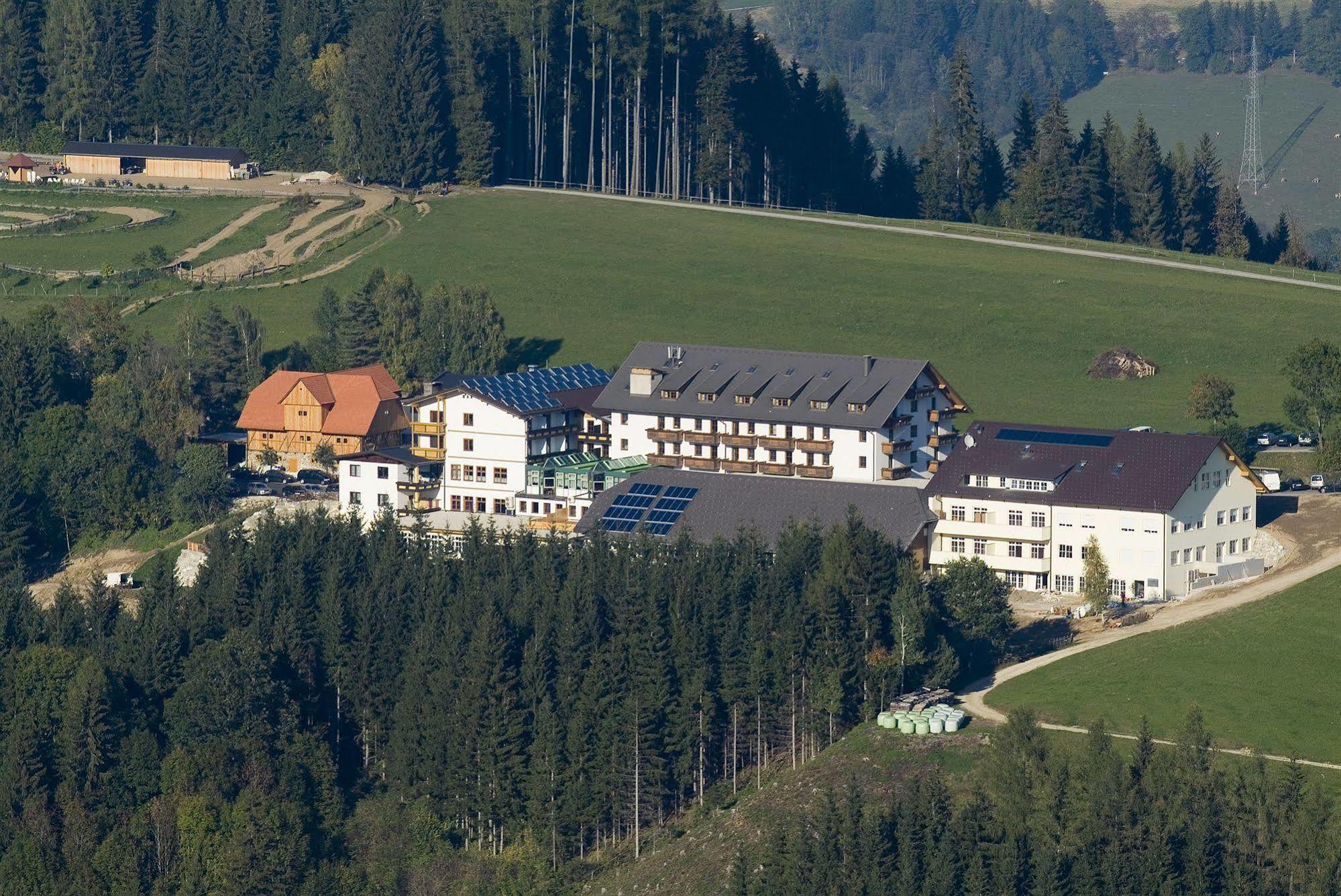 Hotel Moselebauer Бад Санкт Лионхард им Лавантал Екстериор снимка